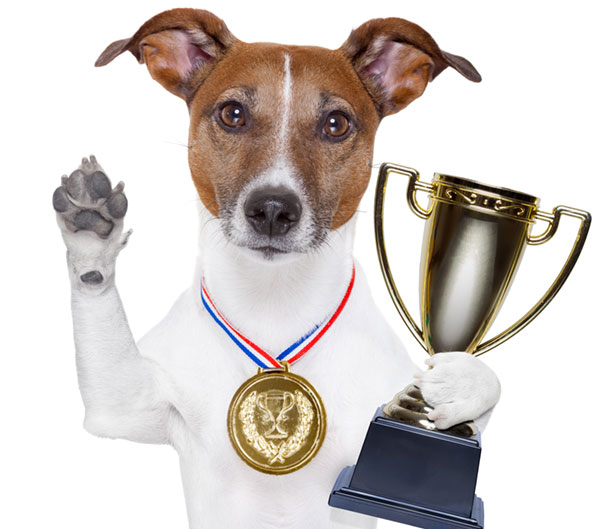 Dog with trophy