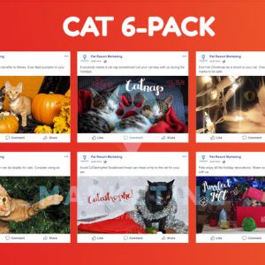 6-Pack Cats for November / December