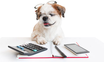 Dog using a calculator