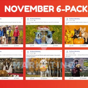 november 6 pack