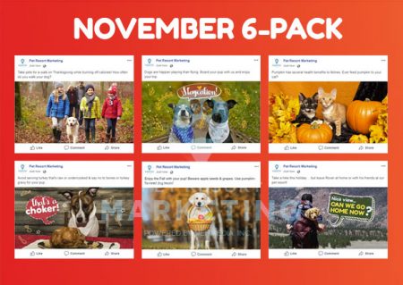 november 6 pack