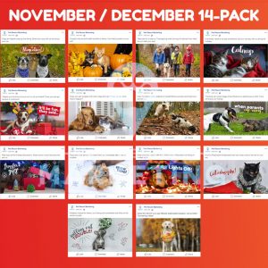 november december 6 pack