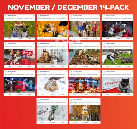 november december 6 pack