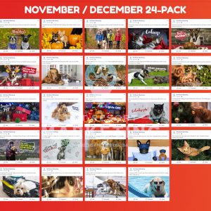 24 Pack for November / December