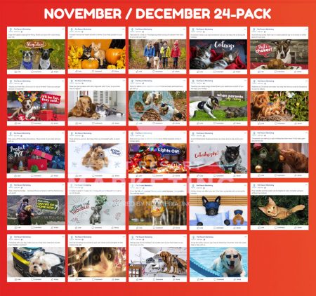 24 Pack for November / December