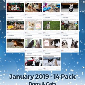 January 2019 Promo Pack