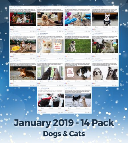 January 2019 Promo Pack