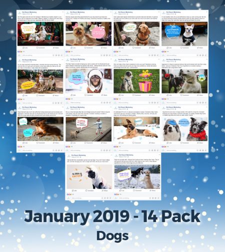 January 2019 Promo Pack - Image 2