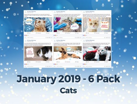January 2019 Promo Pack - Image 4