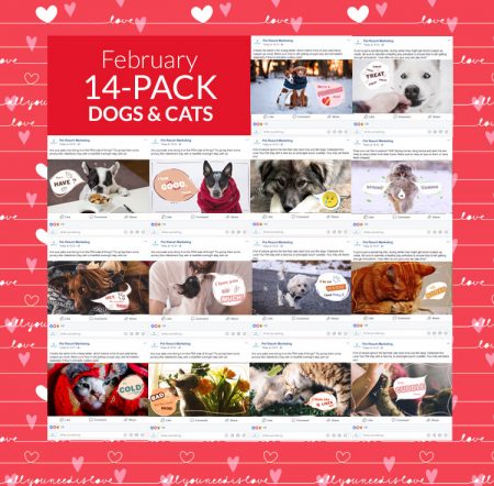 February 14 Pack Dogs and Cats