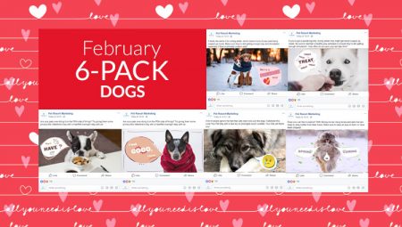 February 6-Pack Dogs