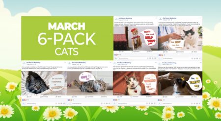 March 2019 6 Pack Cats