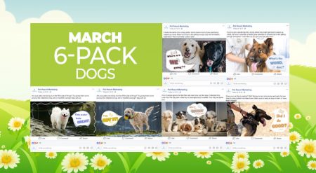 March 2019 6 Pack Dogs