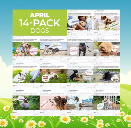 April 14 Pack Dogs