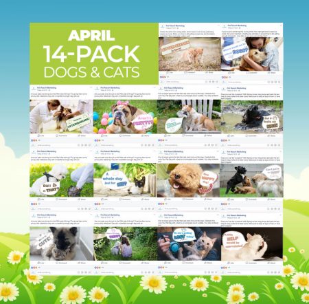 April 2019 Promo Pack - Image 4