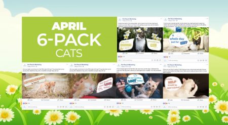 April 2019 Promo Pack - Image 2