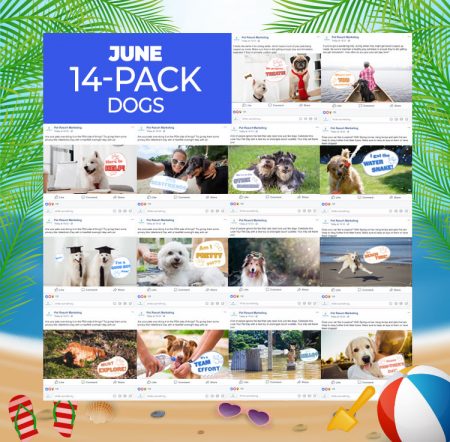 June 14 Pack Dogs