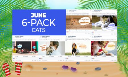 June 6 Pack Cats