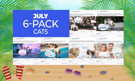 July 6 Pack Cats