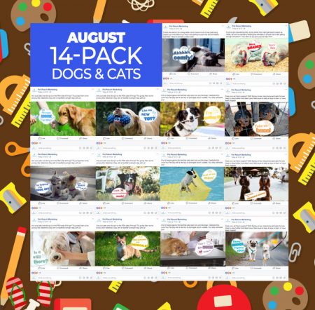 August 2019 Promo Pack - Image 2