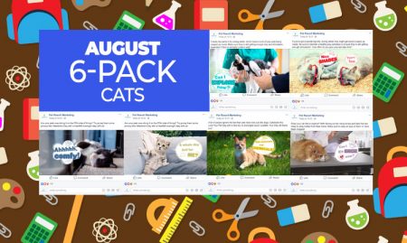August 2019 Promo Pack - Image 4