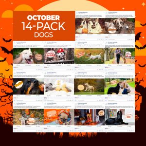 October 14 Pack Dogs