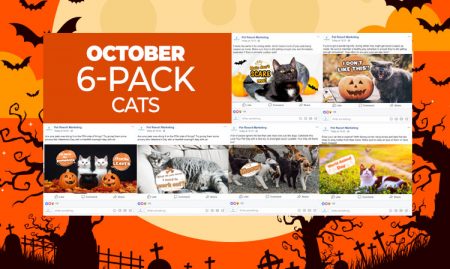 October 6 Pack Cats