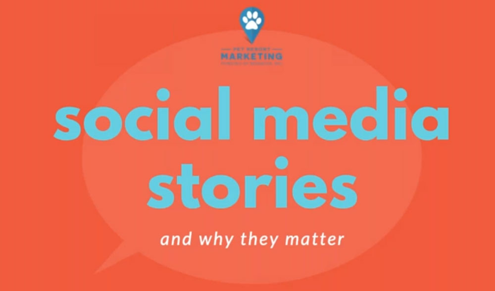 Social Media Stories (and Why They Matter)