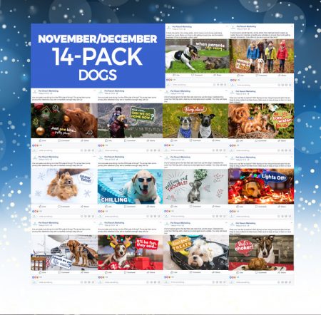 Happy Howlidays 14 Pack