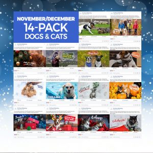 Happy Howlidays 14 Pack