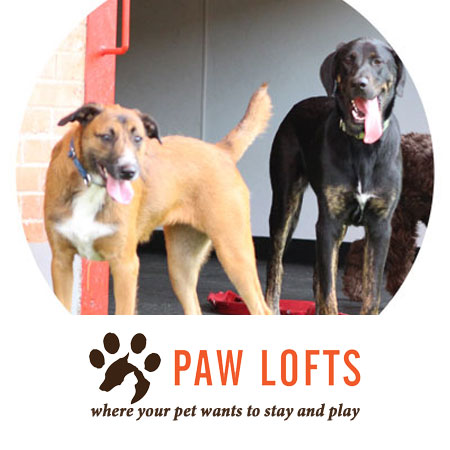 paw-lofts-thumbnail-2 Paw Lofts