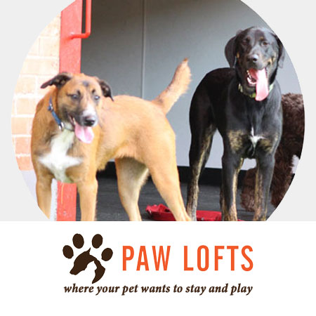 Paw Lofts Case Study