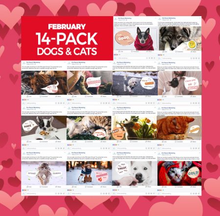 feb-2020-14-pack-dogs-cats