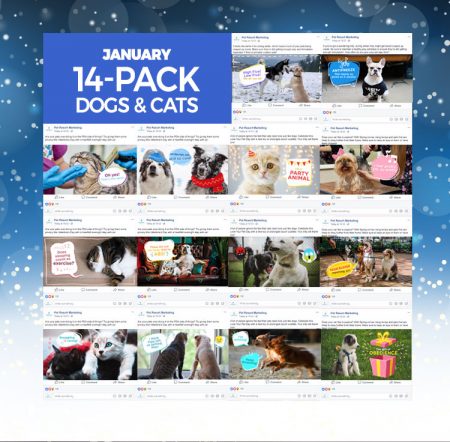 January 2020 Promo Pack - Image 2