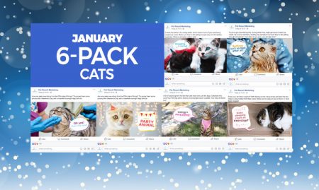 January 2020 Promo Pack - Image 4