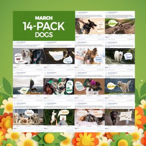 March 2020 14 Pack Dogs