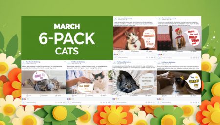 March 2020 Pack Cats