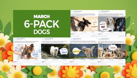 March 2020 6 Pack Dogs