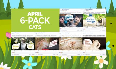 April 2020 Promo Pack - Image 4