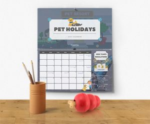 Pet Holidays - Pet Resort Marketing