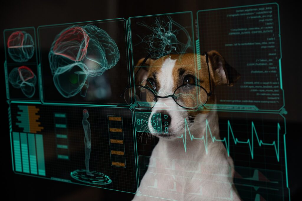 Jack Russell Terrier looking at data on computer screen