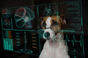 Jack Russell Terrier looking at data on computer screen