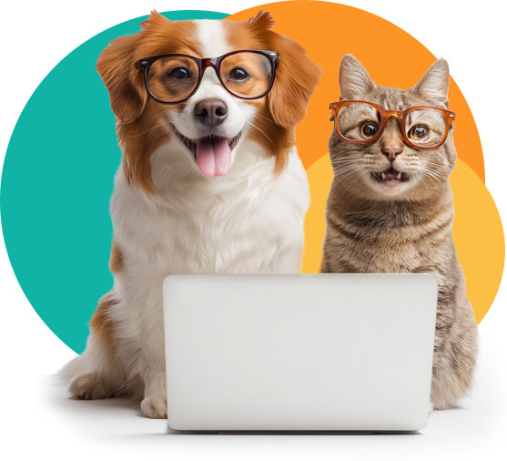 Happy dog and cat at a laptop