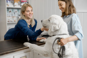 Pet resort staff greeting a customer and their dog