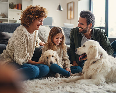 Family playing with dogs