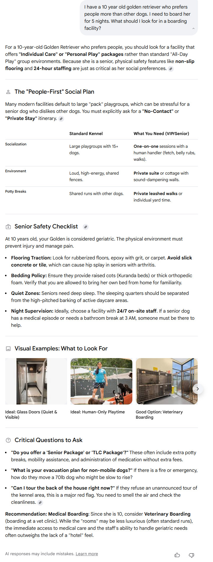 Google AI Overview for pet resort query