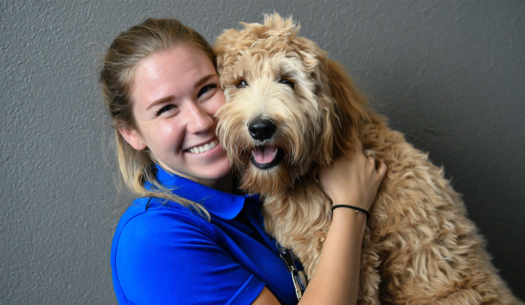 Pet resort staff hugging a dog