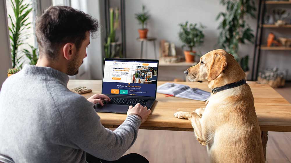 man with his dog searching on his laptop